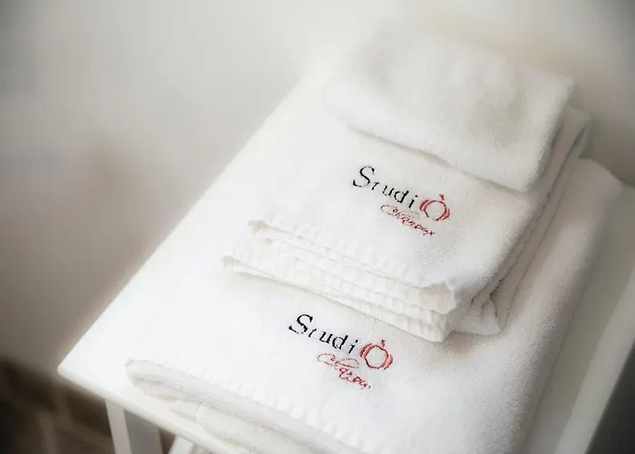 Studio Charles-albert Apartment *